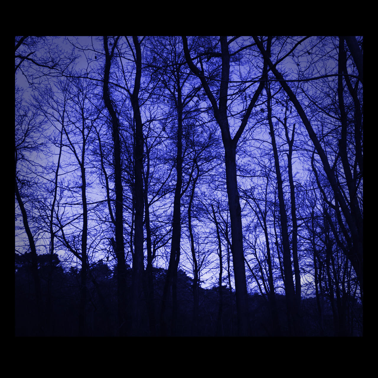 Ambivalent