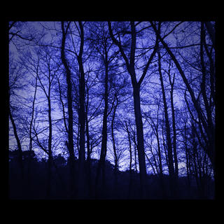 Ambivalent
